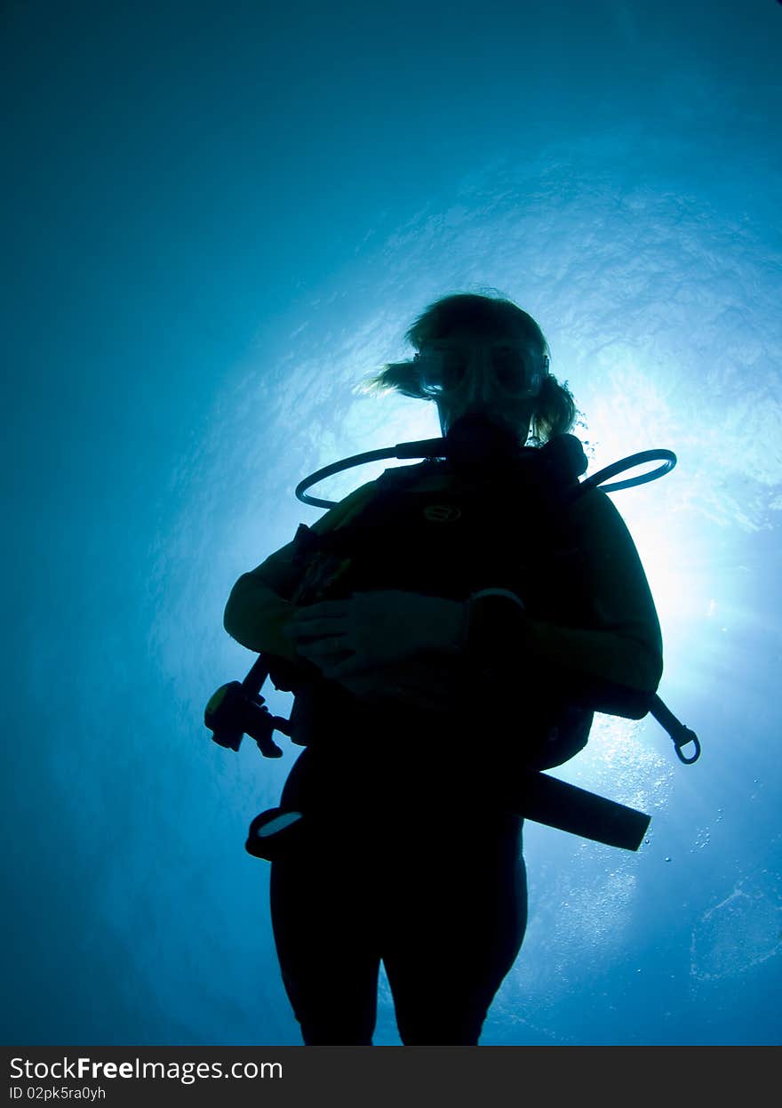 Silhouette of a female diver in the Caribbean Sea. Silhouette of a female diver in the Caribbean Sea