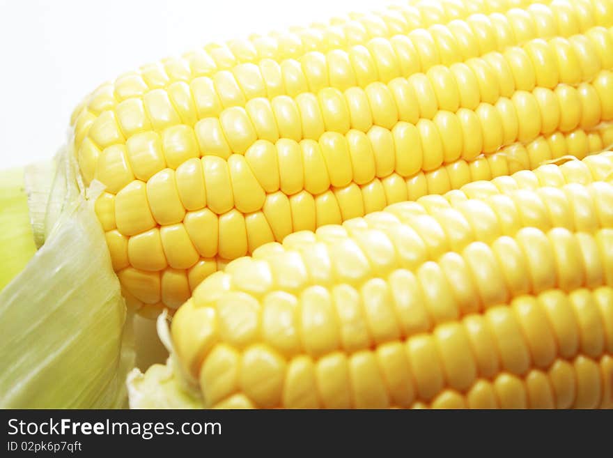 Two newly harvested corns on white background. Two newly harvested corns on white background.