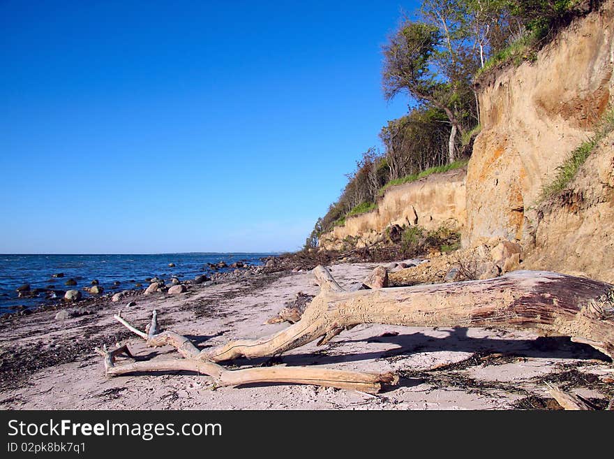 Natural steep coast beach with a dead tree in foreground. Natural steep coast beach with a dead tree in foreground