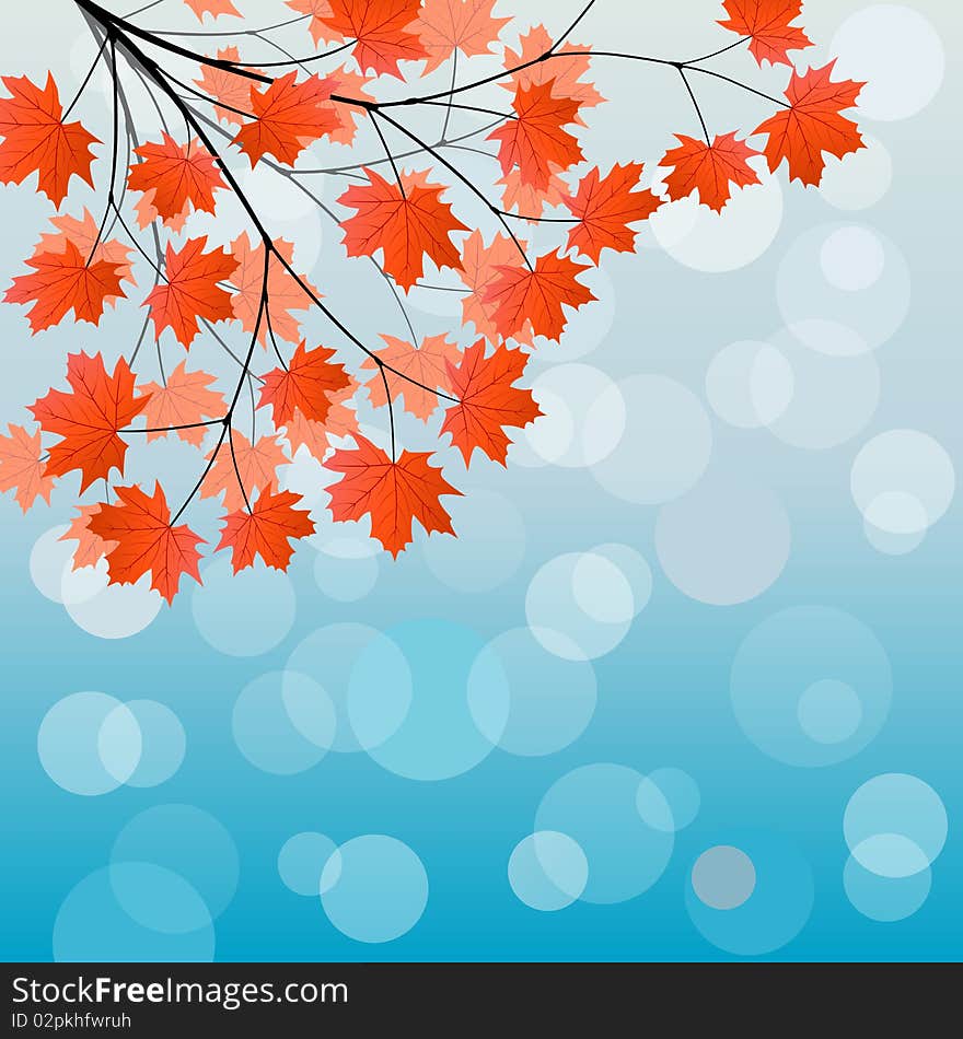 Autumn background with a maple branch. Vector illustration.