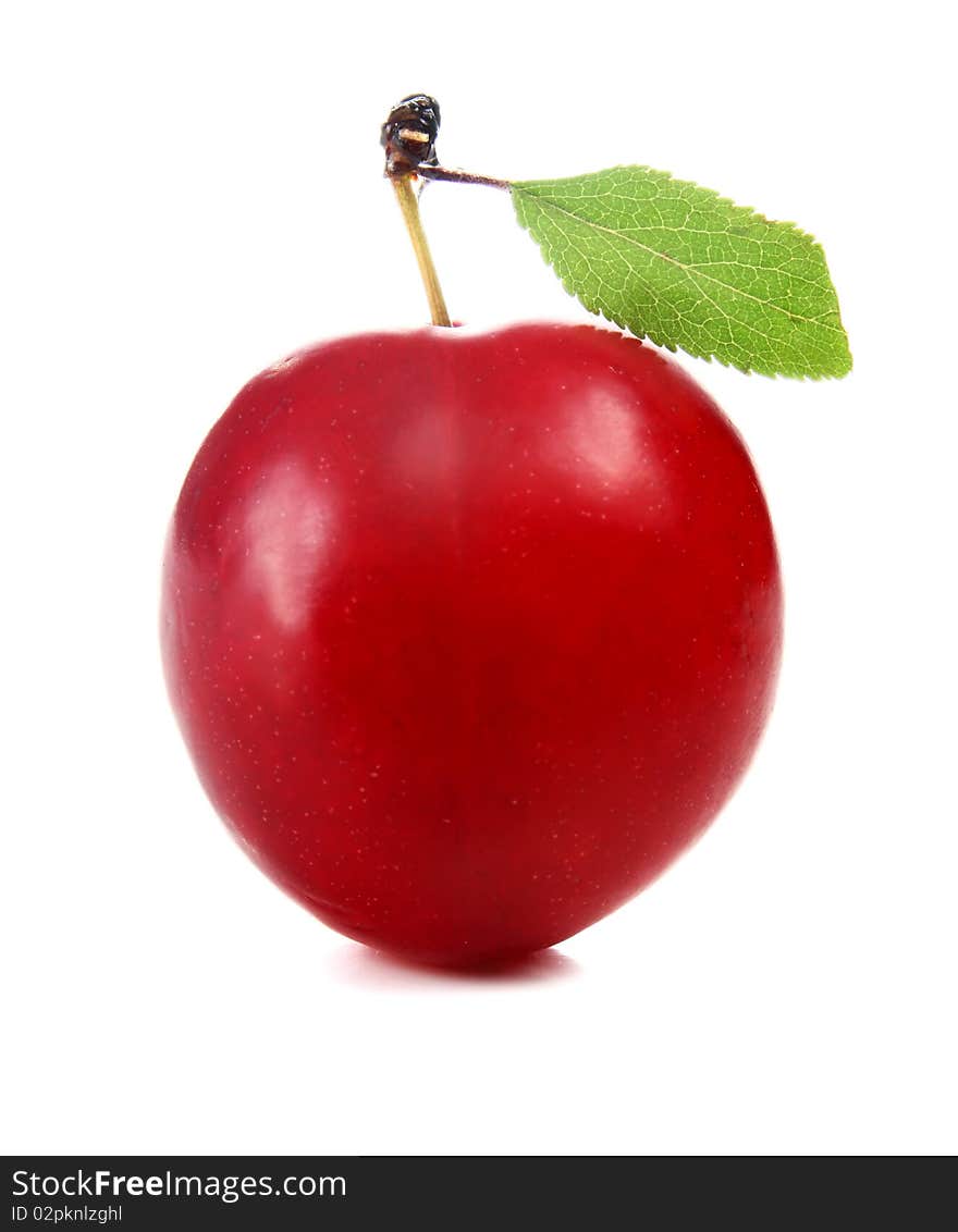 Cherry-plum