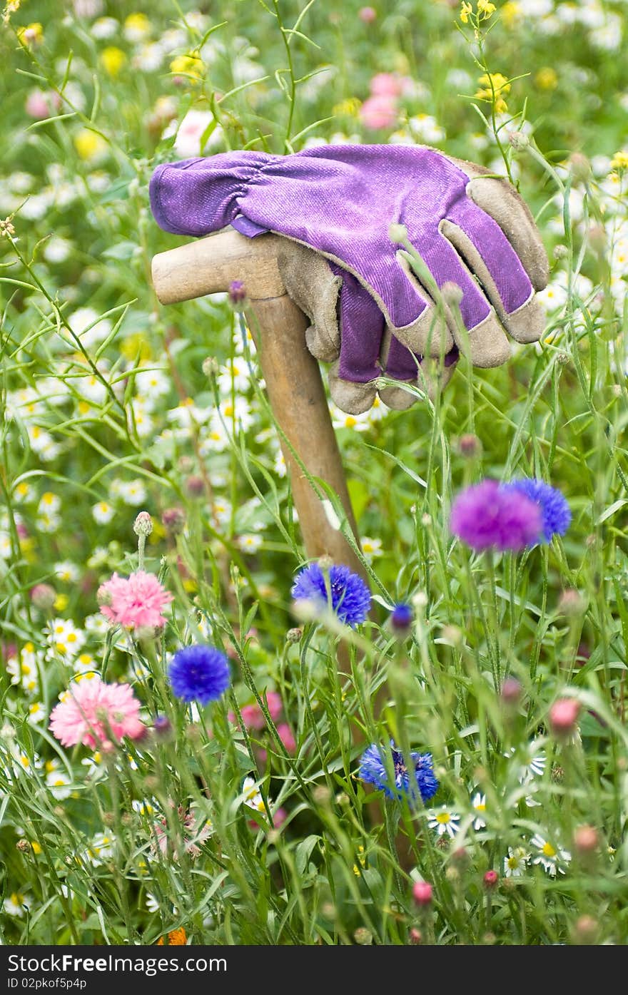 Working gloves in a wild flower meadow. Working gloves in a wild flower meadow