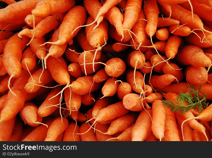 Freshly picked carrots on display at a farmer's market in portland, oregon