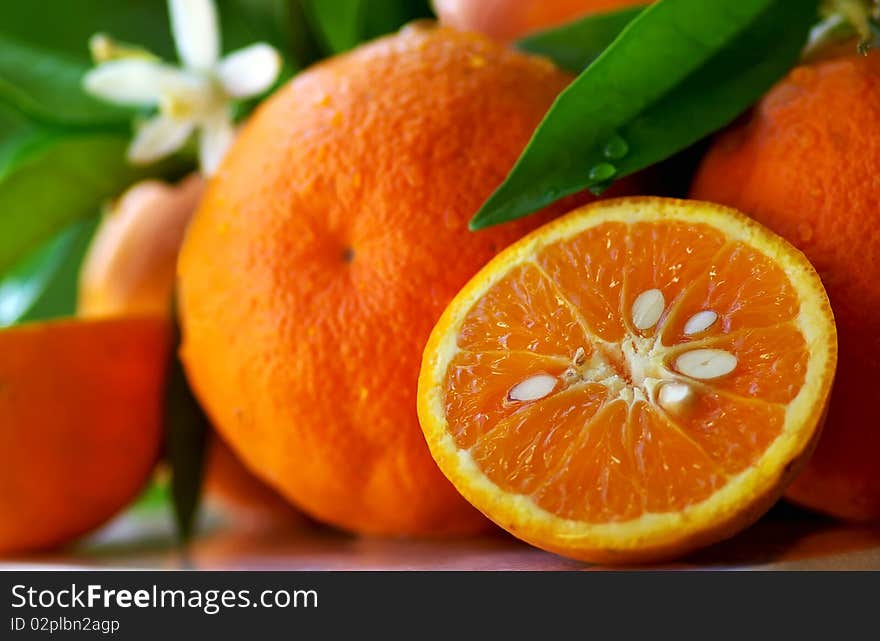 Mature orange and flowers.