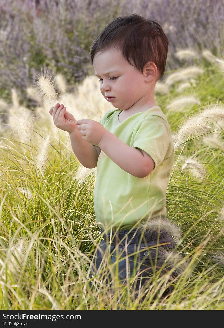 A small child standing in a long grass in a Mediterranean garden. A small child standing in a long grass in a Mediterranean garden.