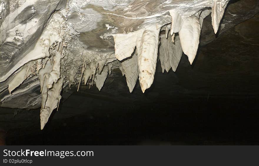 A formation of helictite and aragonite flower in a shot at Torrinha cave, at 6,000 feet from the entrance. A formation of helictite and aragonite flower in a shot at Torrinha cave, at 6,000 feet from the entrance.