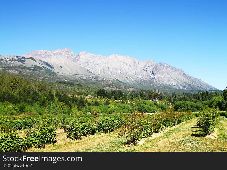 Beautiful fields at the side of a mountain.