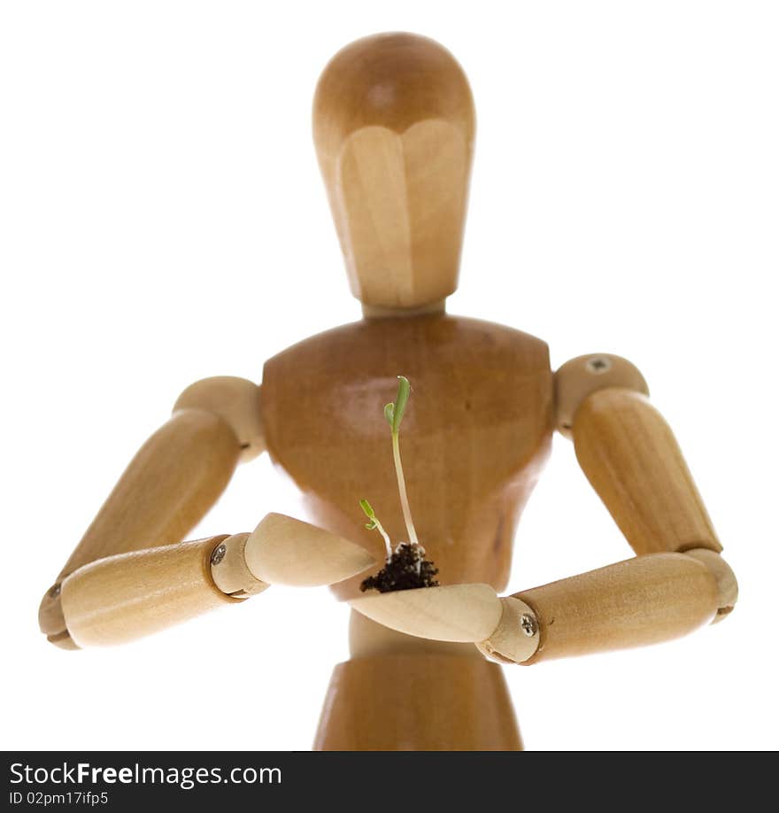 An Artist's wooden mannequin holding a tiny plant seedling, isolated on white.  Concept: environmentalism, go Green. An Artist's wooden mannequin holding a tiny plant seedling, isolated on white.  Concept: environmentalism, go Green