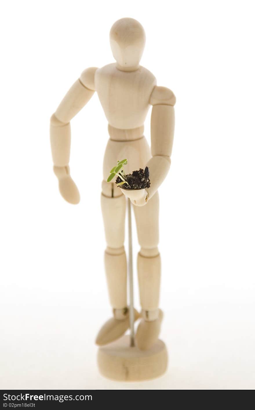 An Artist's wooden mannequin holding a tiny plant seedling, isolated on white. Concept: environmentalism, go Green. An Artist's wooden mannequin holding a tiny plant seedling, isolated on white. Concept: environmentalism, go Green