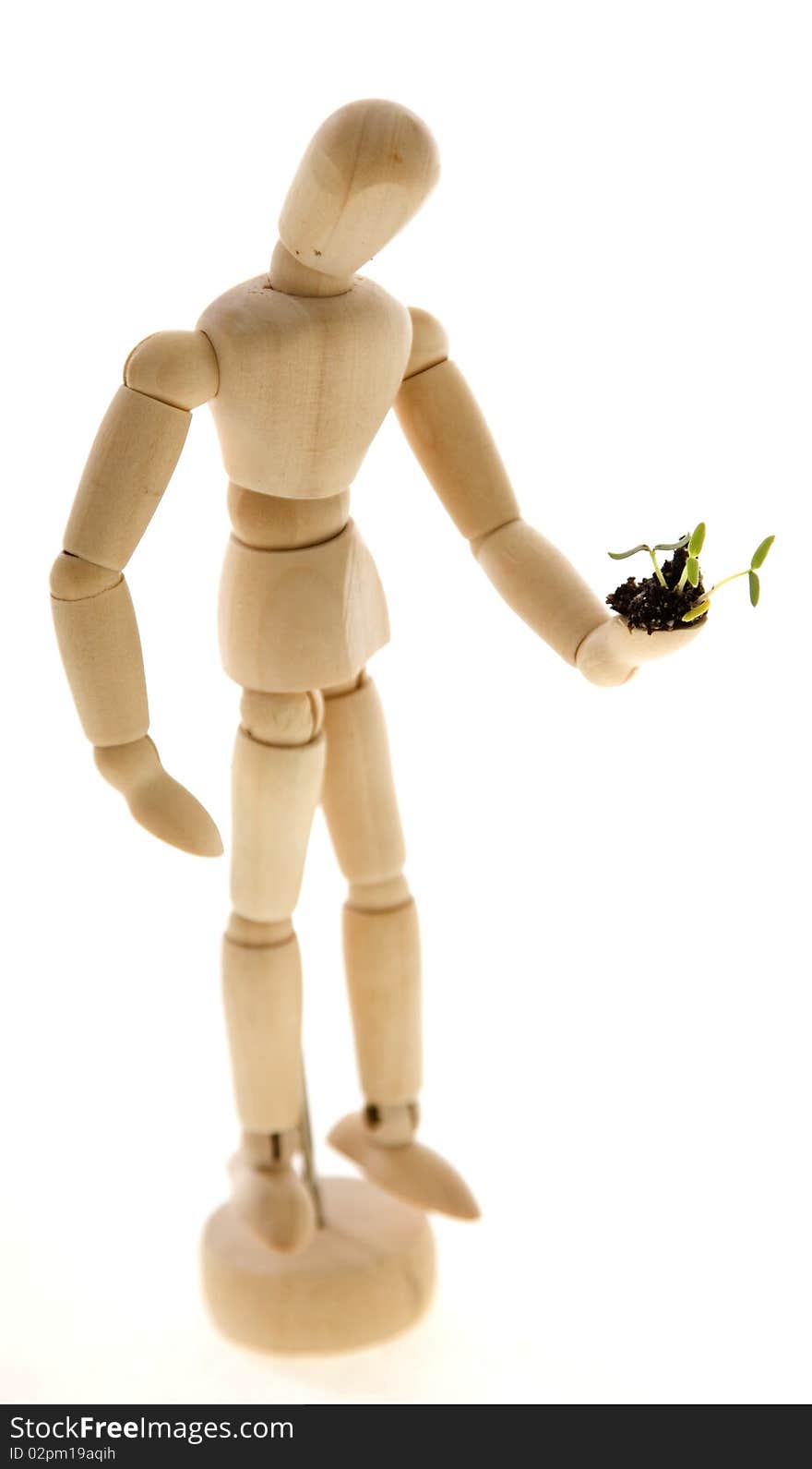 An Artist's wooden mannequin holding a tiny plant seedling, isolated on white. Concept: environmentalism, go Green. An Artist's wooden mannequin holding a tiny plant seedling, isolated on white. Concept: environmentalism, go Green