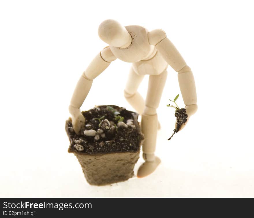 An Artist's wooden mannequin holding a tiny plant seedling in one hand, digging in a compost pot with the other, isolated on white.  Concept: environmentalism, go Green. An Artist's wooden mannequin holding a tiny plant seedling in one hand, digging in a compost pot with the other, isolated on white.  Concept: environmentalism, go Green