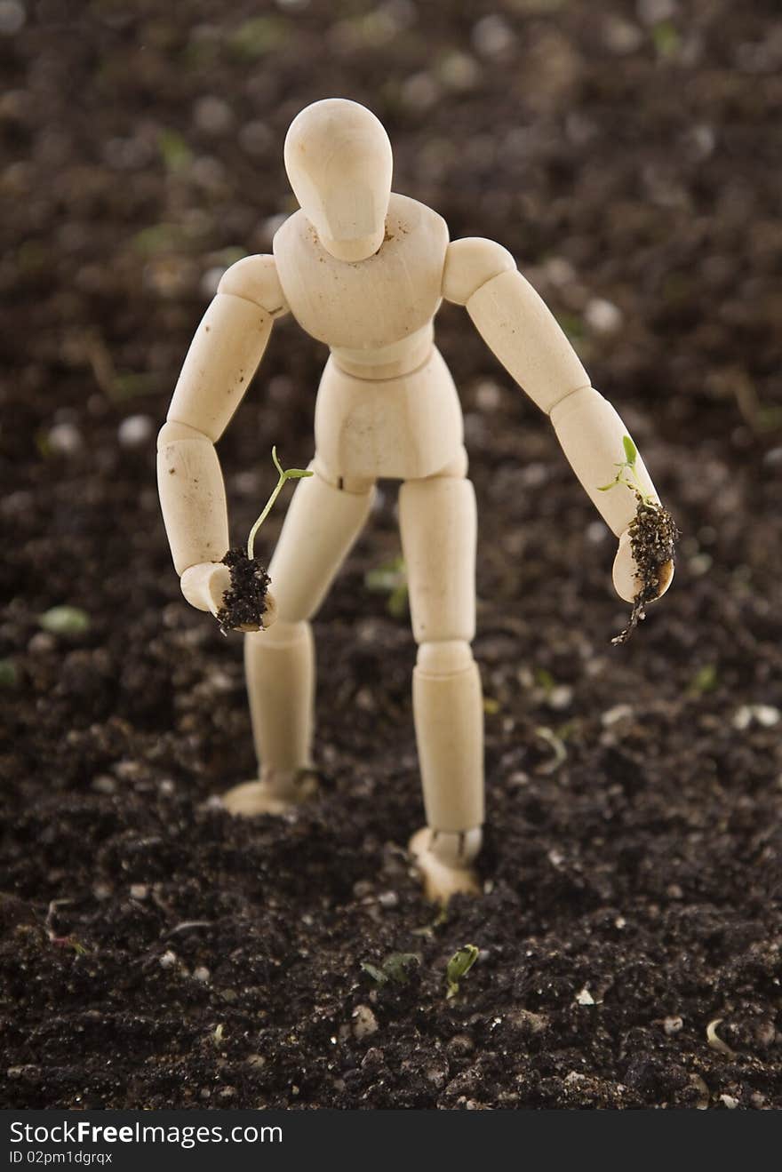 An Artist's wooden mannequin holding a tiny plant seedling, standing in potting soil, isolated on white. Concept: environmentalism, go Green. An Artist's wooden mannequin holding a tiny plant seedling, standing in potting soil, isolated on white. Concept: environmentalism, go Green