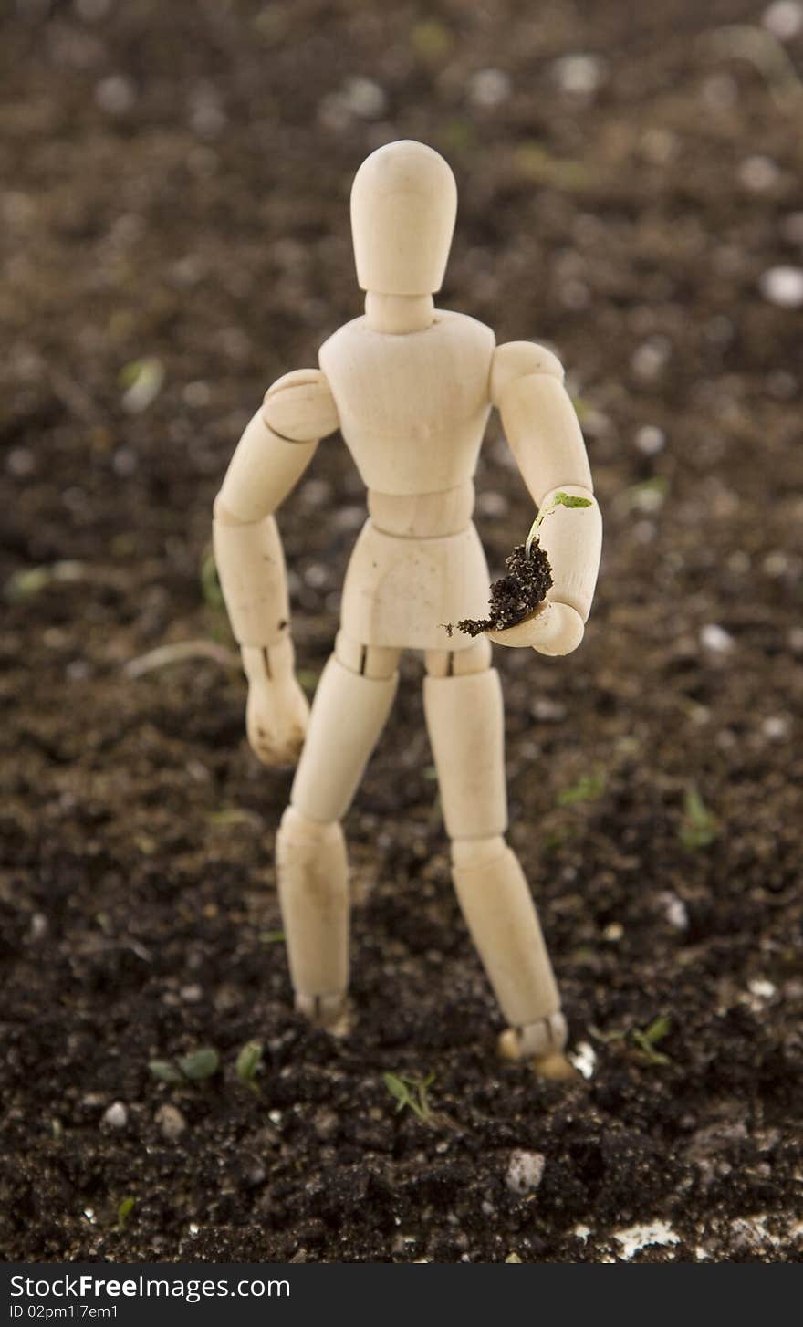 An Artist's wooden mannequin holding a tiny plant seedling, standing in potting soil, isolated on white. Concept: environmentalism, go Green. An Artist's wooden mannequin holding a tiny plant seedling, standing in potting soil, isolated on white. Concept: environmentalism, go Green