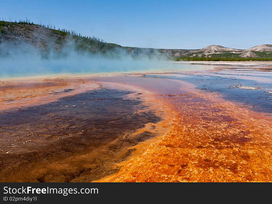 Rising steam creates a mysterious view of Grand Prismatic Spring amidst the colorful bacteria and algae of Midway Geyser Basin. Rising steam creates a mysterious view of Grand Prismatic Spring amidst the colorful bacteria and algae of Midway Geyser Basin.