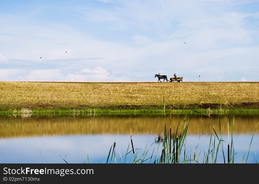 Grass picturesque riverside Irtysh, siberia. Grass picturesque riverside Irtysh, siberia