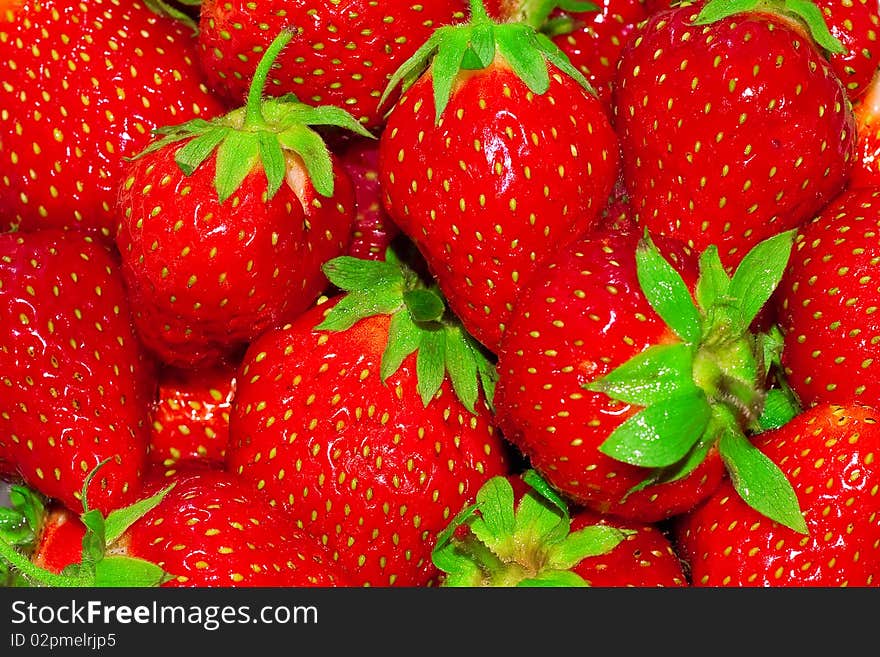 Bright background of ripe strawberries. Bright background of ripe strawberries