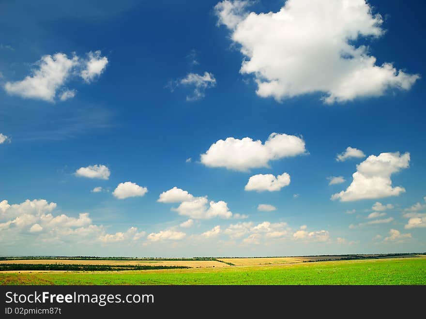 Summer landscape with the beautiful sky and fields