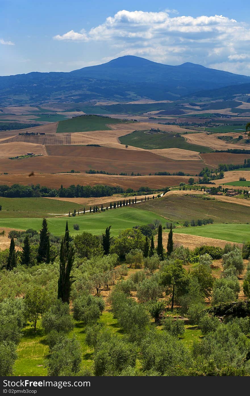 You can see a wonderful view over the fields, meadows and mountains. A beautiful tree you bring to the rural atmosphere. You can see a wonderful view over the fields, meadows and mountains. A beautiful tree you bring to the rural atmosphere.