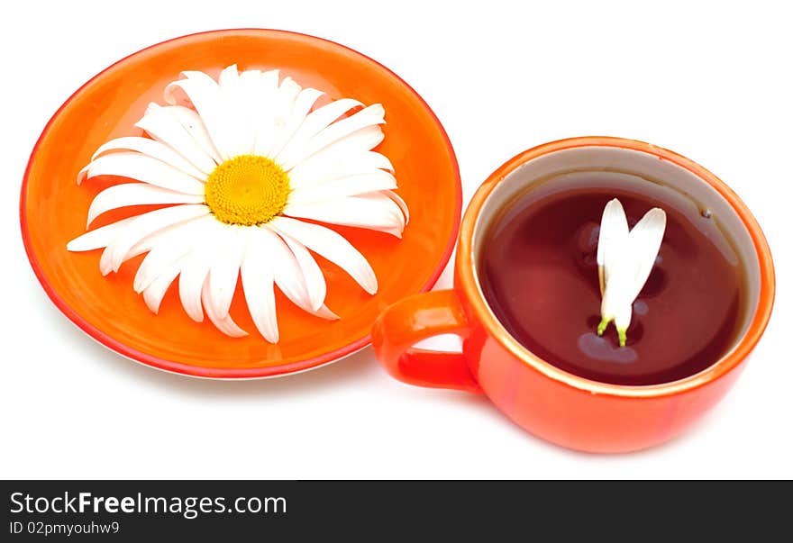 Orange cup tea and camomiles at the background. Orange cup tea and camomiles at the background