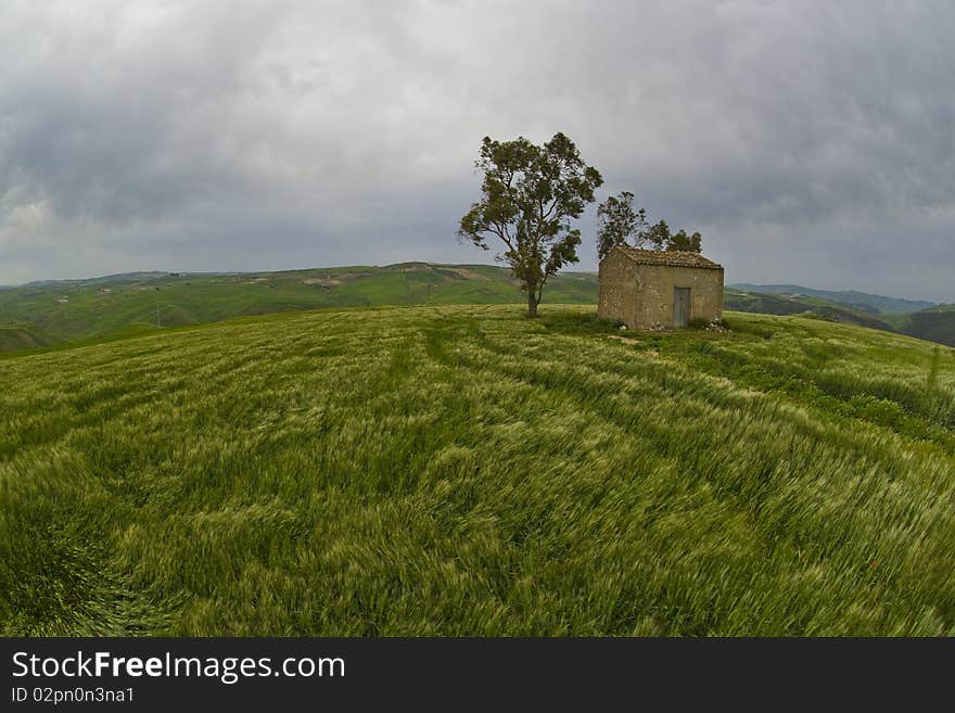 Middle of the meadow is house alone. Middle of the meadow is house alone.