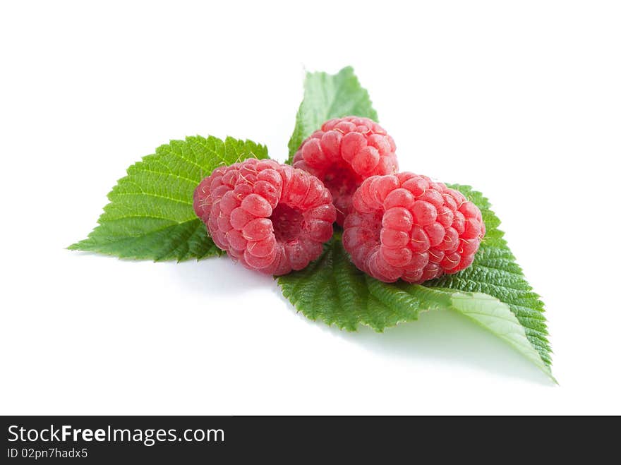 Raspberry with leaves