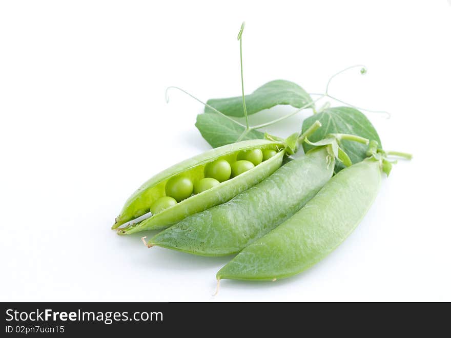 Fresh Pea Fruit With Green Leaf