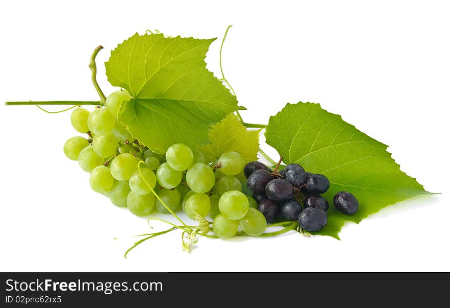 Grapes isolated on white background