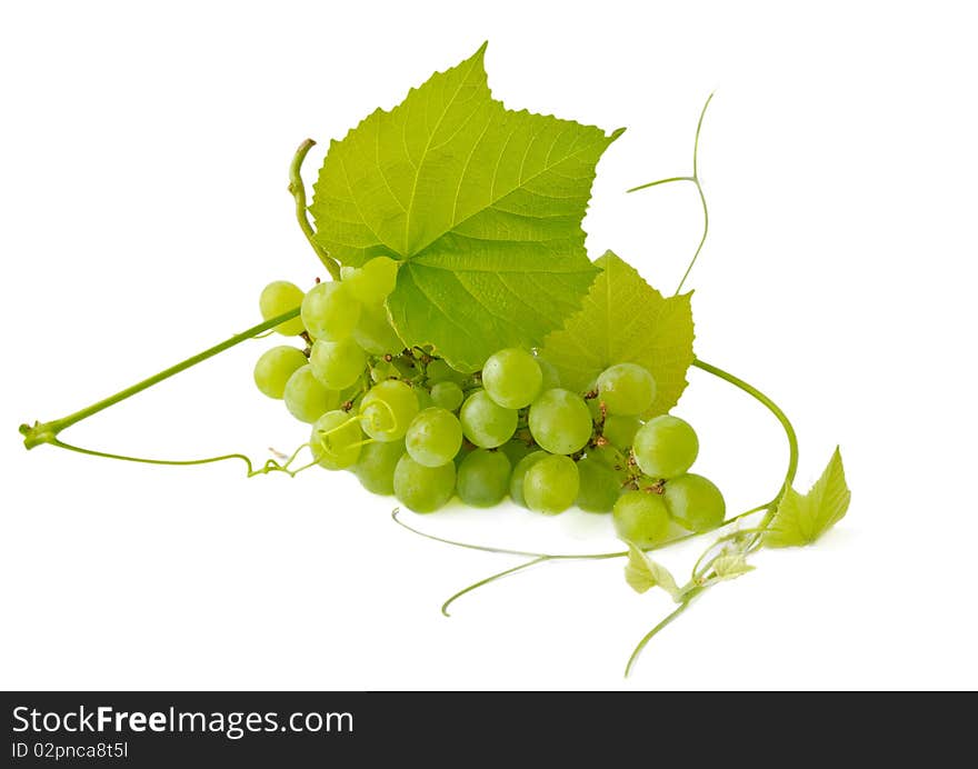 Grapes  isolated on a white background