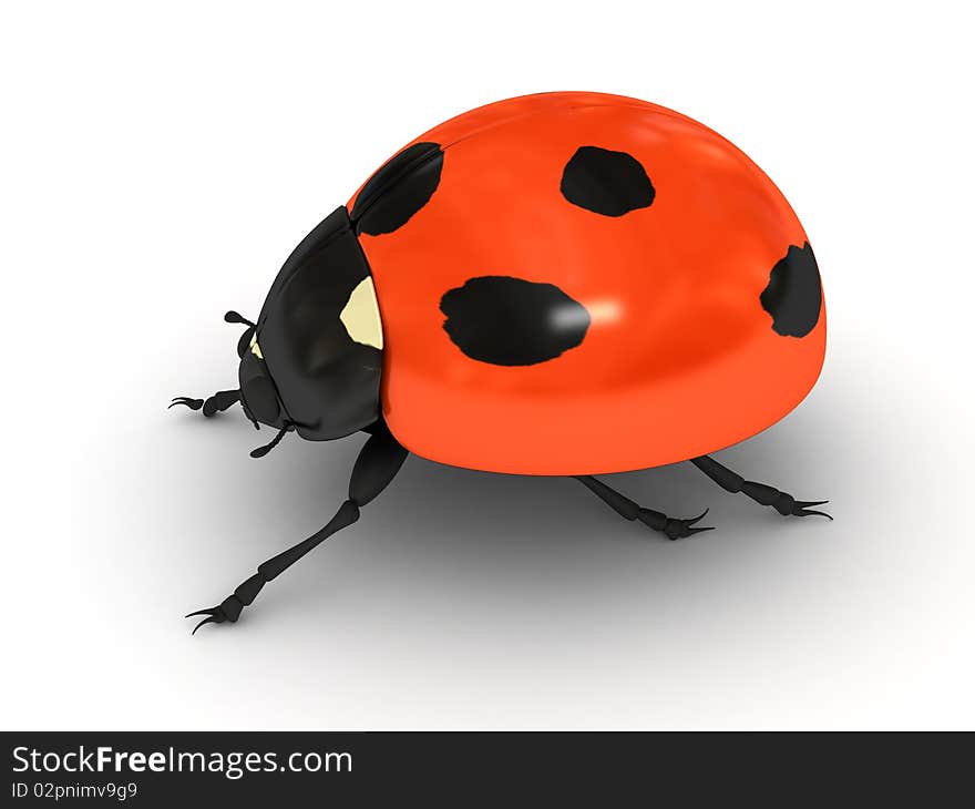 Ladybird over white background. 3d render