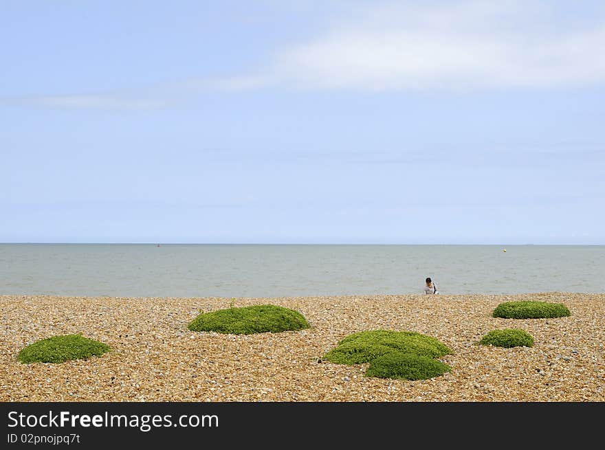 White Woman Admiring Northern Sea