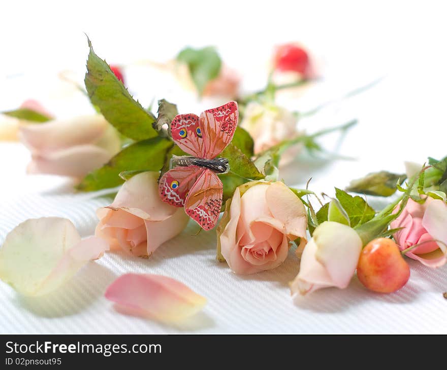 Beautiful pink roses with butterfly and cherry on background