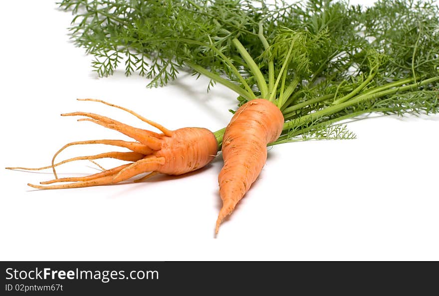 Carrots.