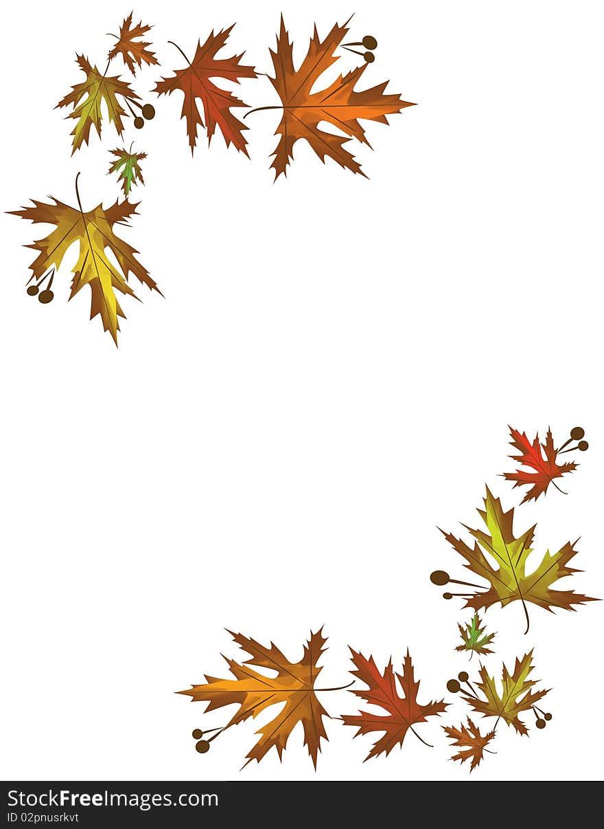 Autumn foliage leaves a maple leaf a maple leaves an oak an acorn despondency a season pleasure a season. Autumn foliage leaves a maple leaf a maple leaves an oak an acorn despondency a season pleasure a season