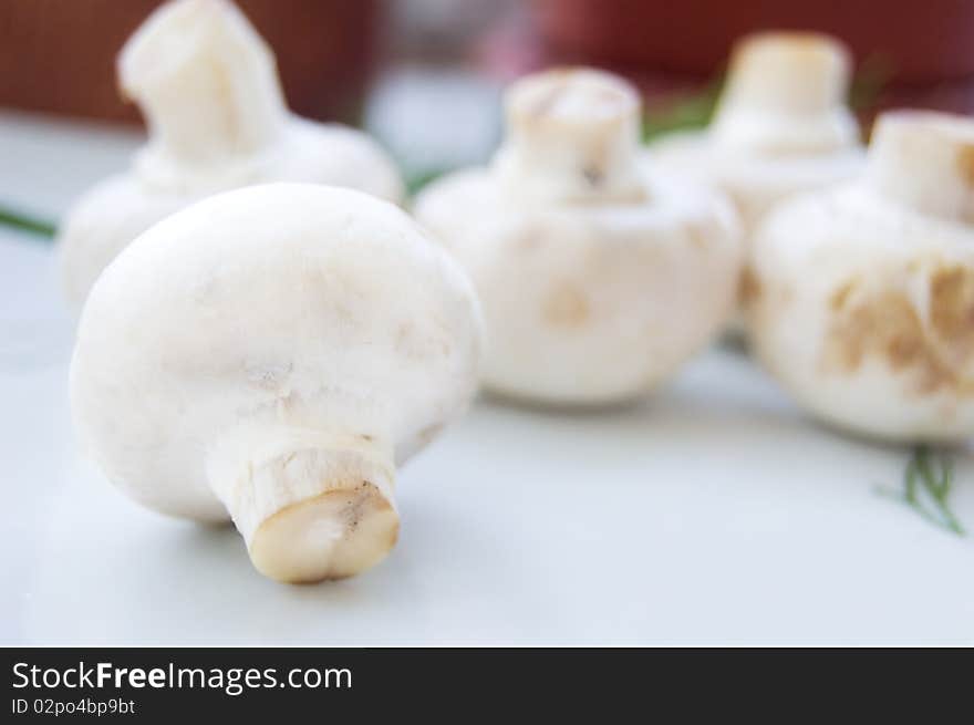 Some champignon with green parsley