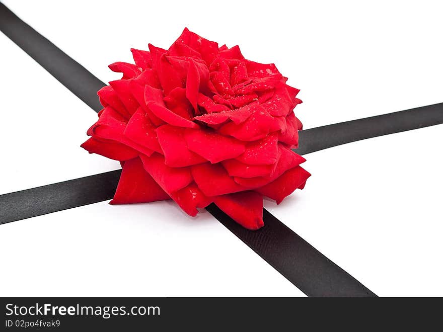 Red rose with black ribbon on white