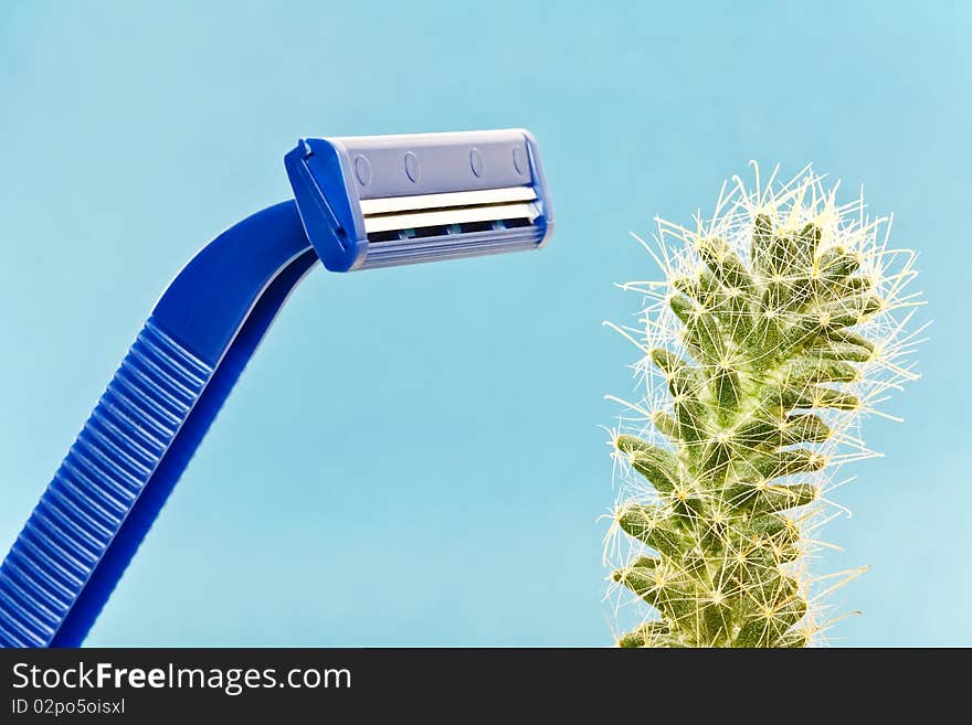 Blue safety shave and green spiny cactus - album orientation. Blue safety shave and green spiny cactus - album orientation.