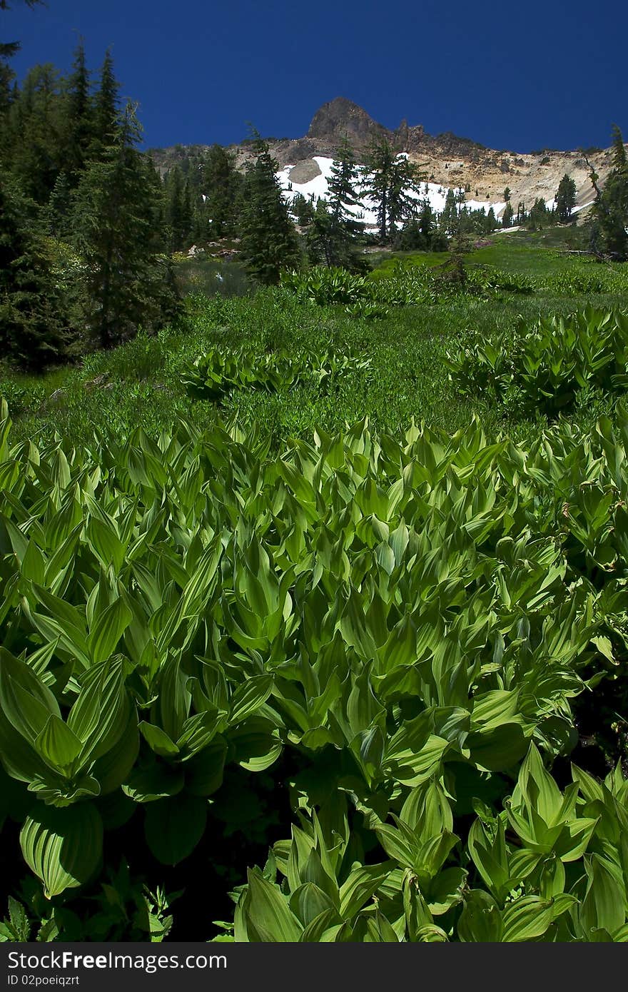 Lassen Volcanic NP