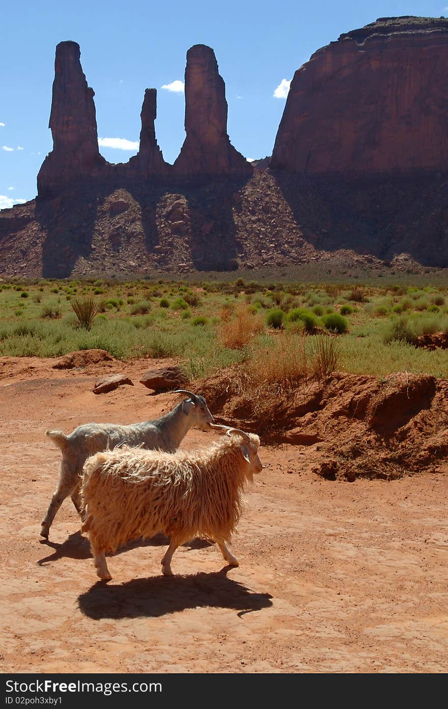 National Park Monumental Canyon