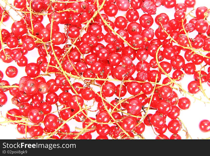 Red currant background