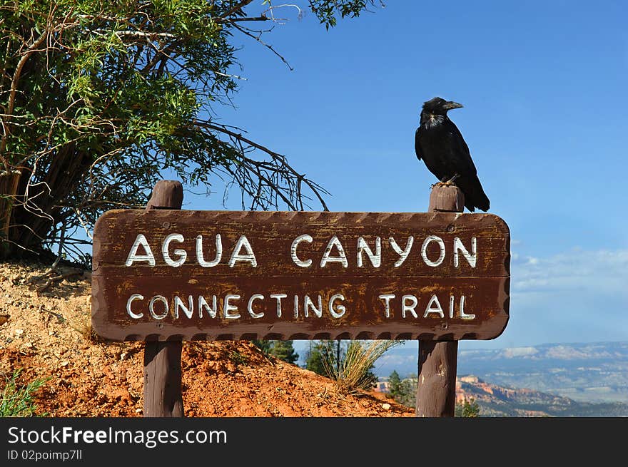 National park Agua Canyon