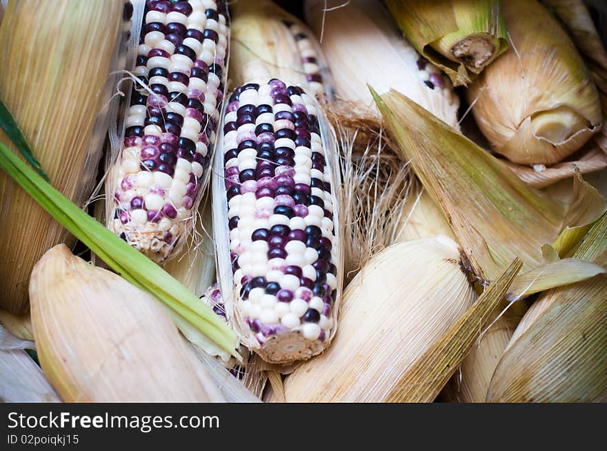 Fresh Indian corn for sale at a traditional market.