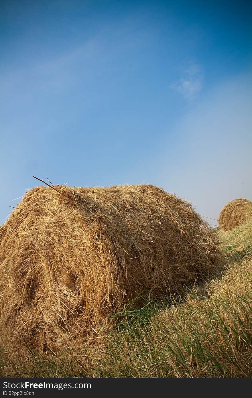 Hay bales on summer field