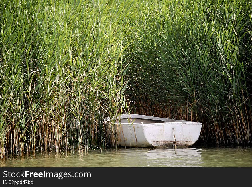 The abadoned boat near the reed