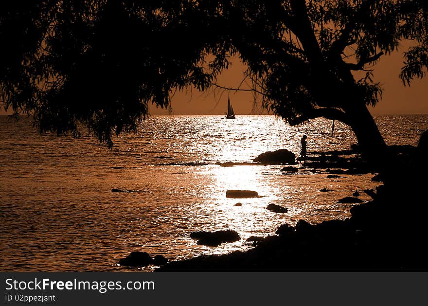 Sea Sunset With Sailer