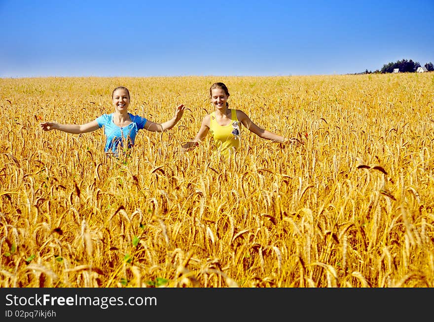 Beautiful girls walk through golden field