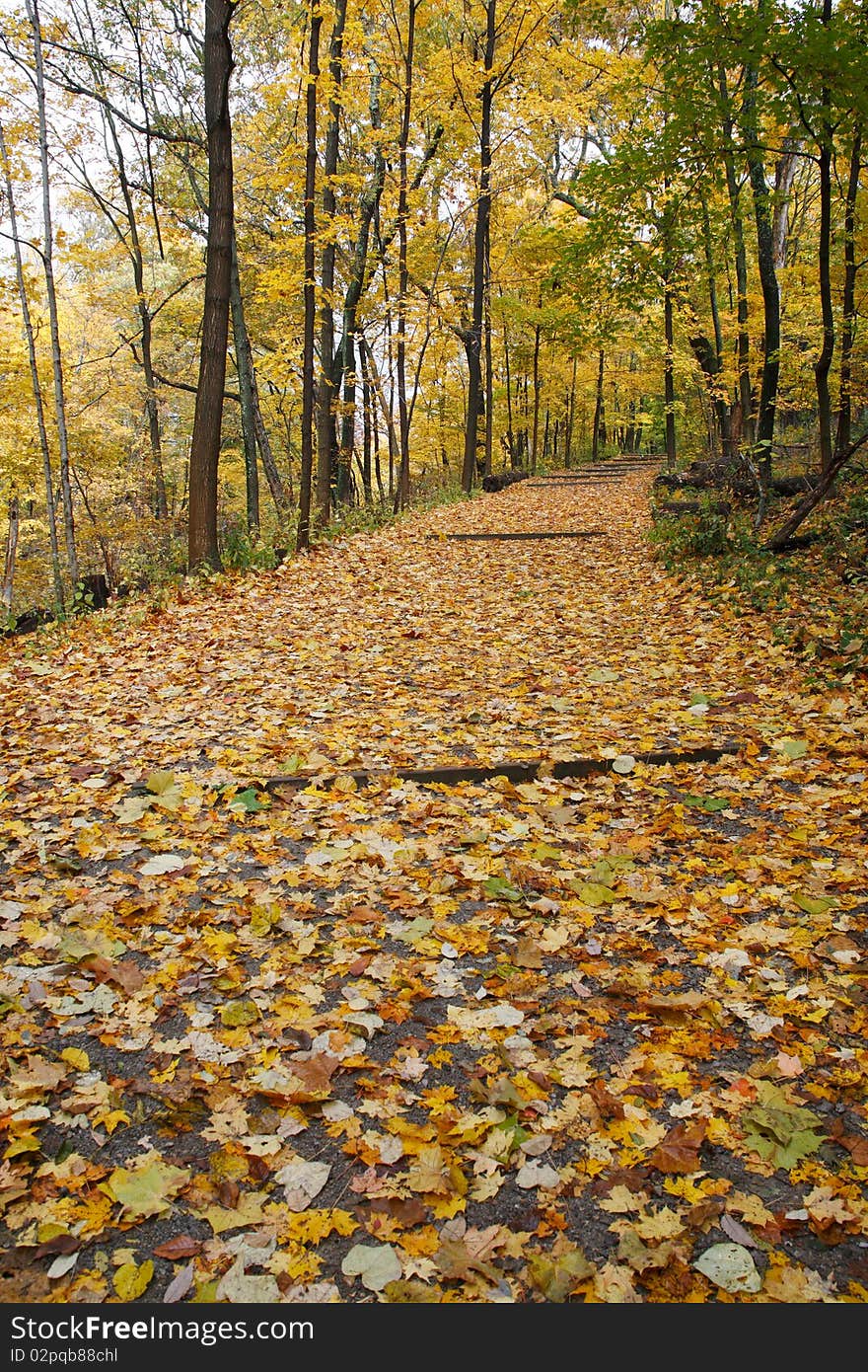 A Quiet Walking Path Through The Woods In Autumn, Sharon Woods, Southwestern Ohio. A Quiet Walking Path Through The Woods In Autumn, Sharon Woods, Southwestern Ohio