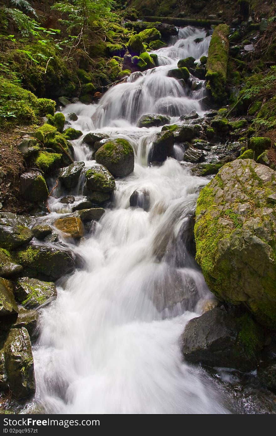 High flowing spring stream during the snow melt in the mountains. High flowing spring stream during the snow melt in the mountains