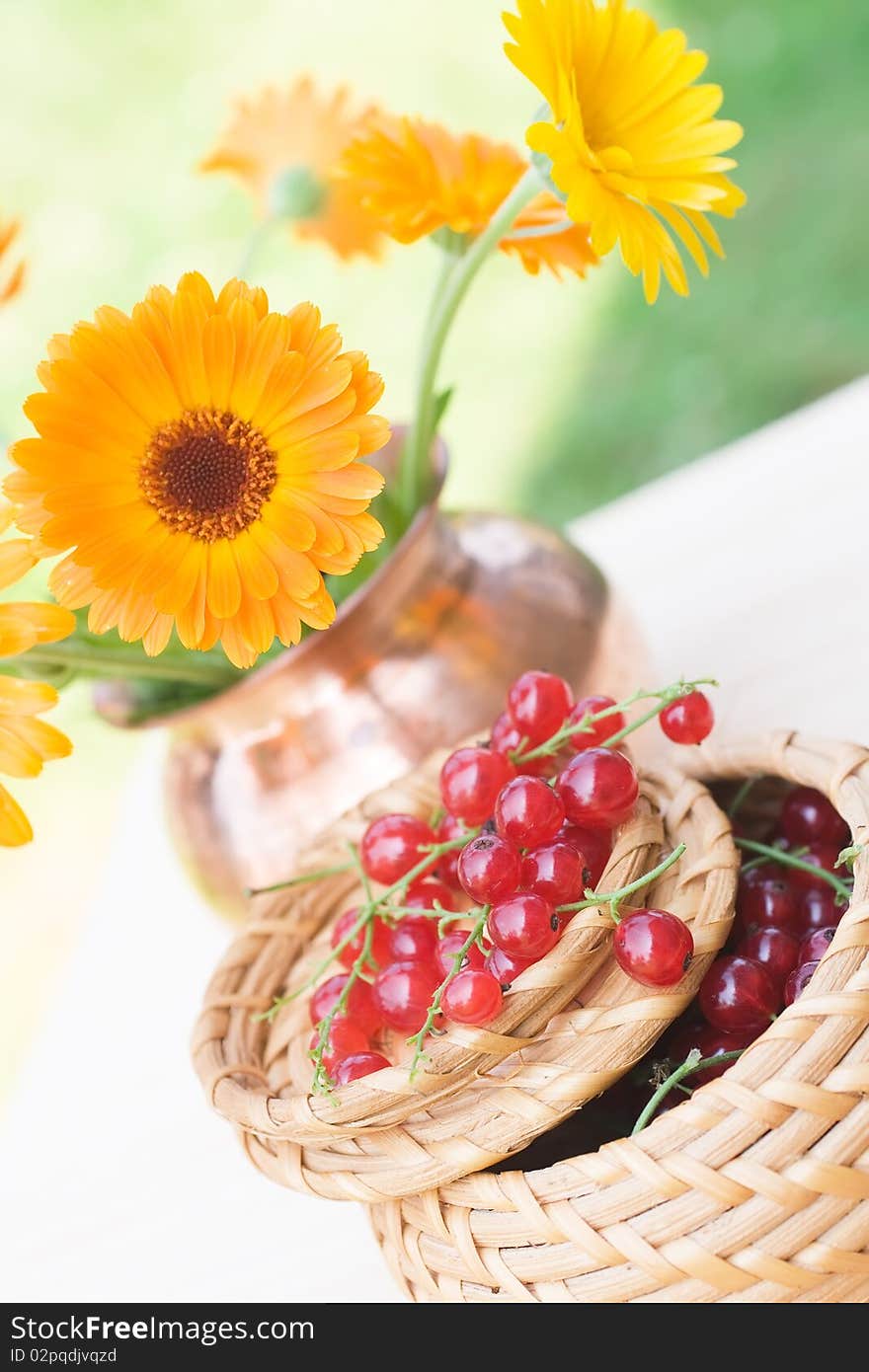 Red currant in a basket