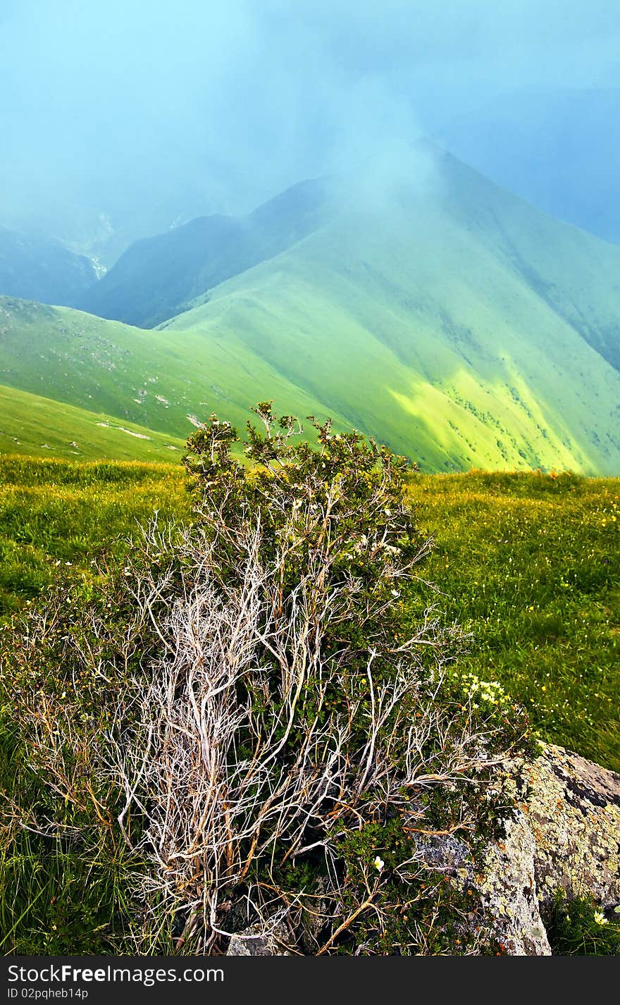 Mountain Landscape