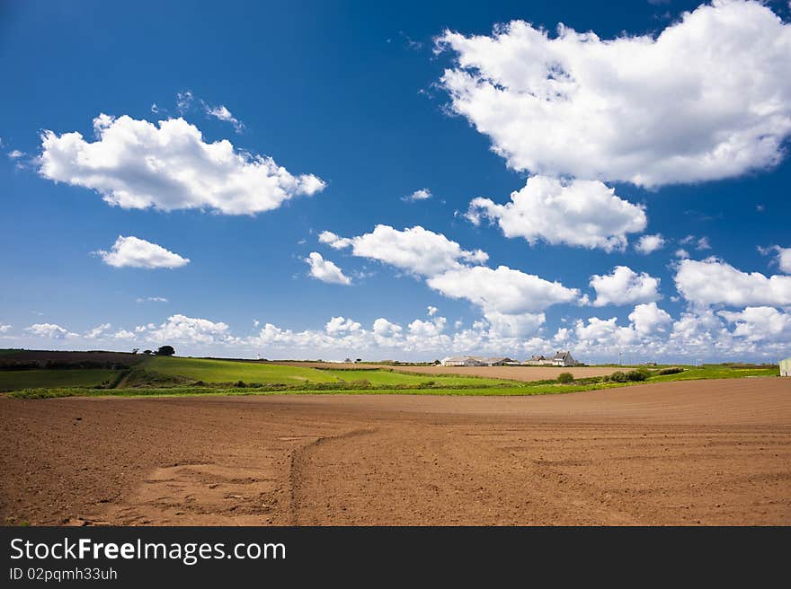 Fields In Spring